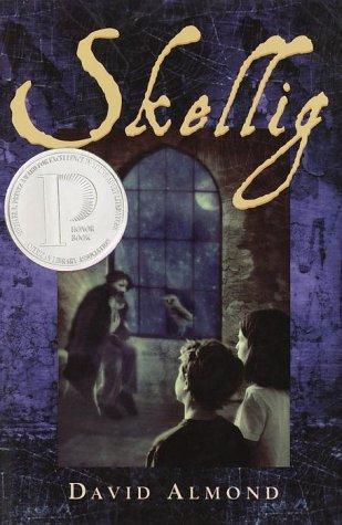 Skellig book cover