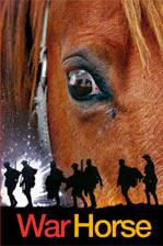 War Horse book cover
